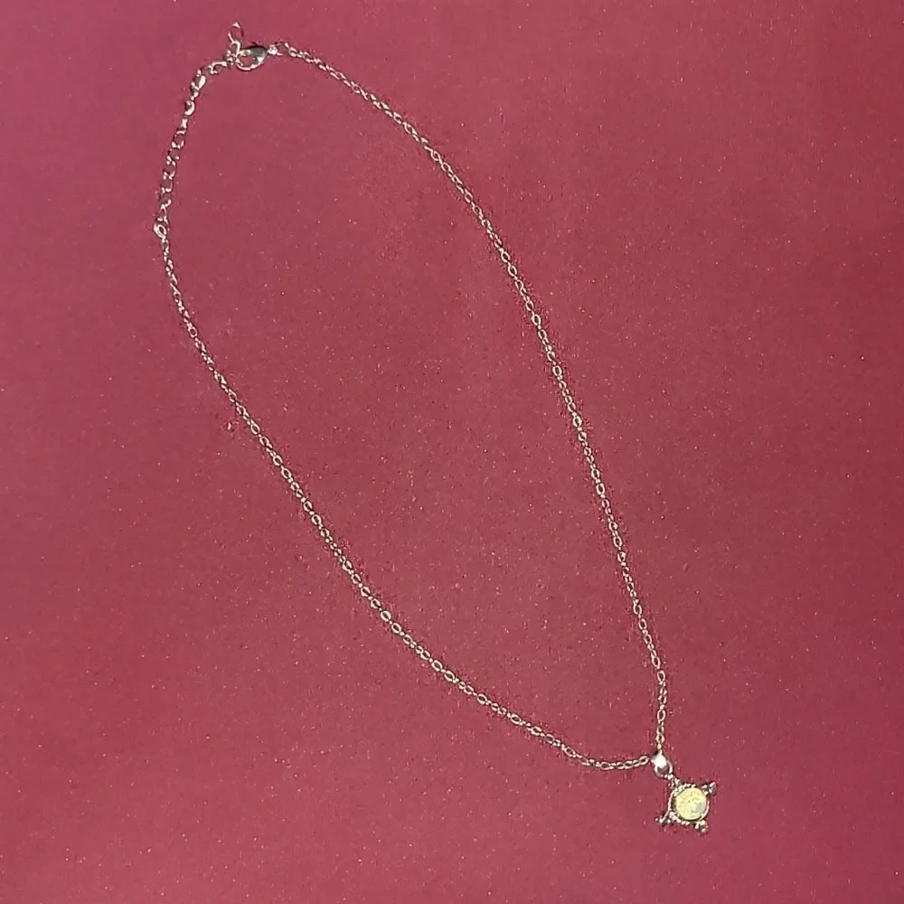 Silver chain Charm Necklace